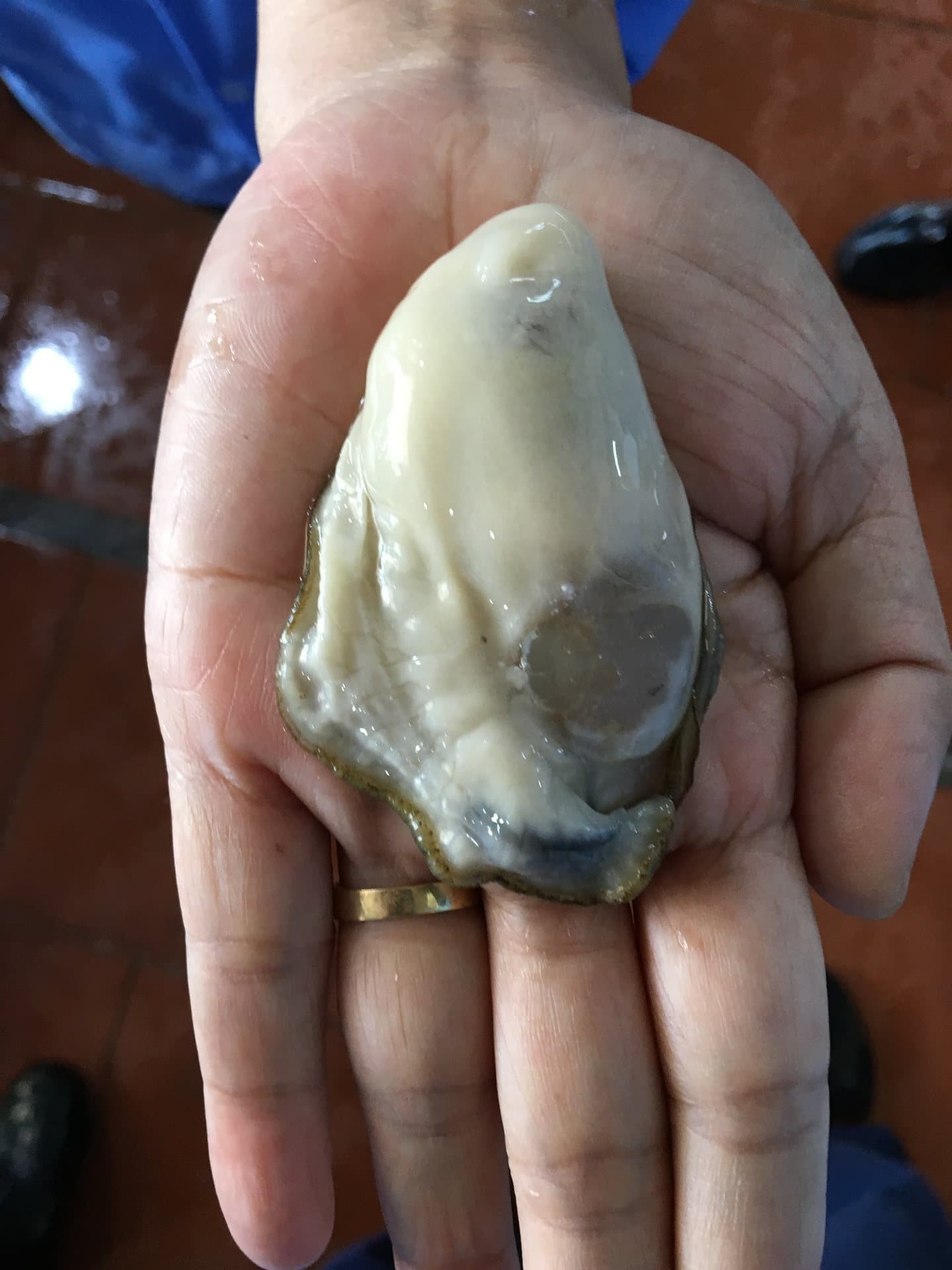 A shucked oyster held in an open palm for close inspection.