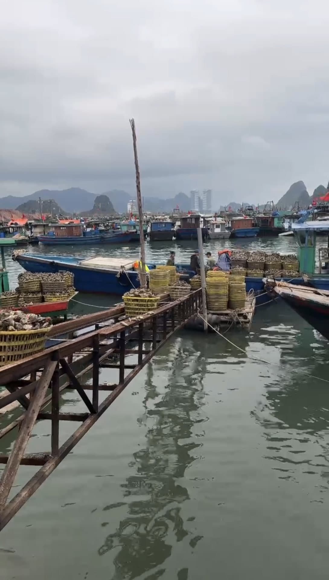 A wooden jetty with moored boats and oyster baskets at a northern Vietnamese landing, under an overcast sky.